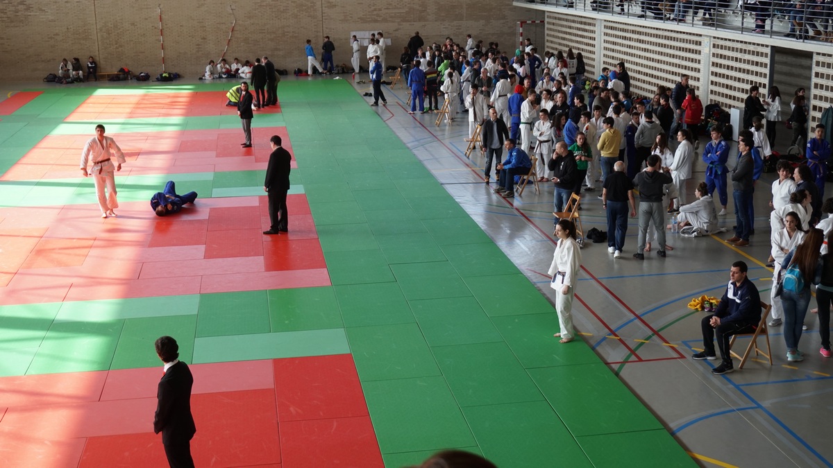 CAMPEONATO NAVARRO DE JUDO ABSOLUTO. RESULTADOS. FOTOS